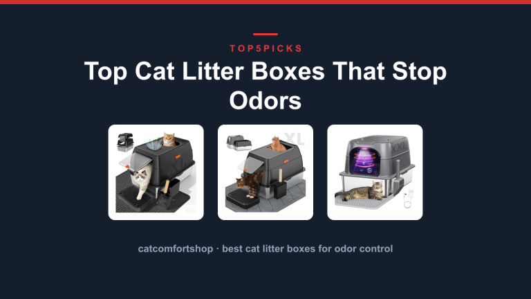 Top Cat Litter Boxes That Stop Odors