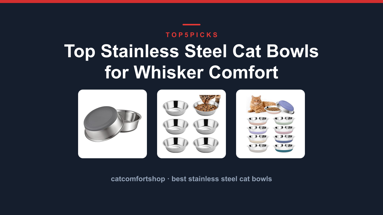 Top Stainless Steel Cat Bowls for Whisker Comfort
