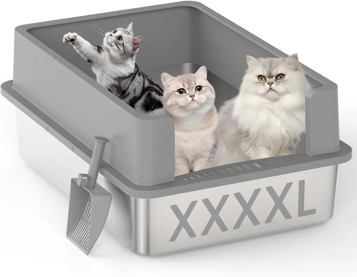 Why Does My Cat Poop So Much? Causes Explained